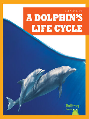 cover image of A Dolphin's Life Cycle